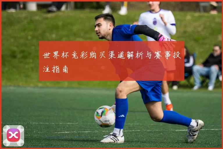 世界杯竞彩购买渠道解析与赛事投注指南